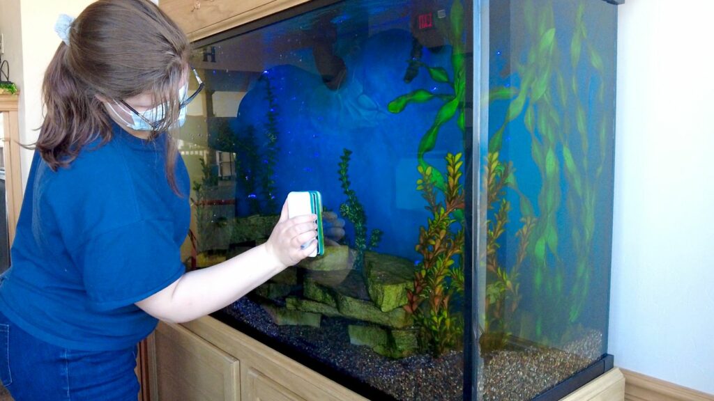 Aquarium Glass cleaning (inside & outside) Service