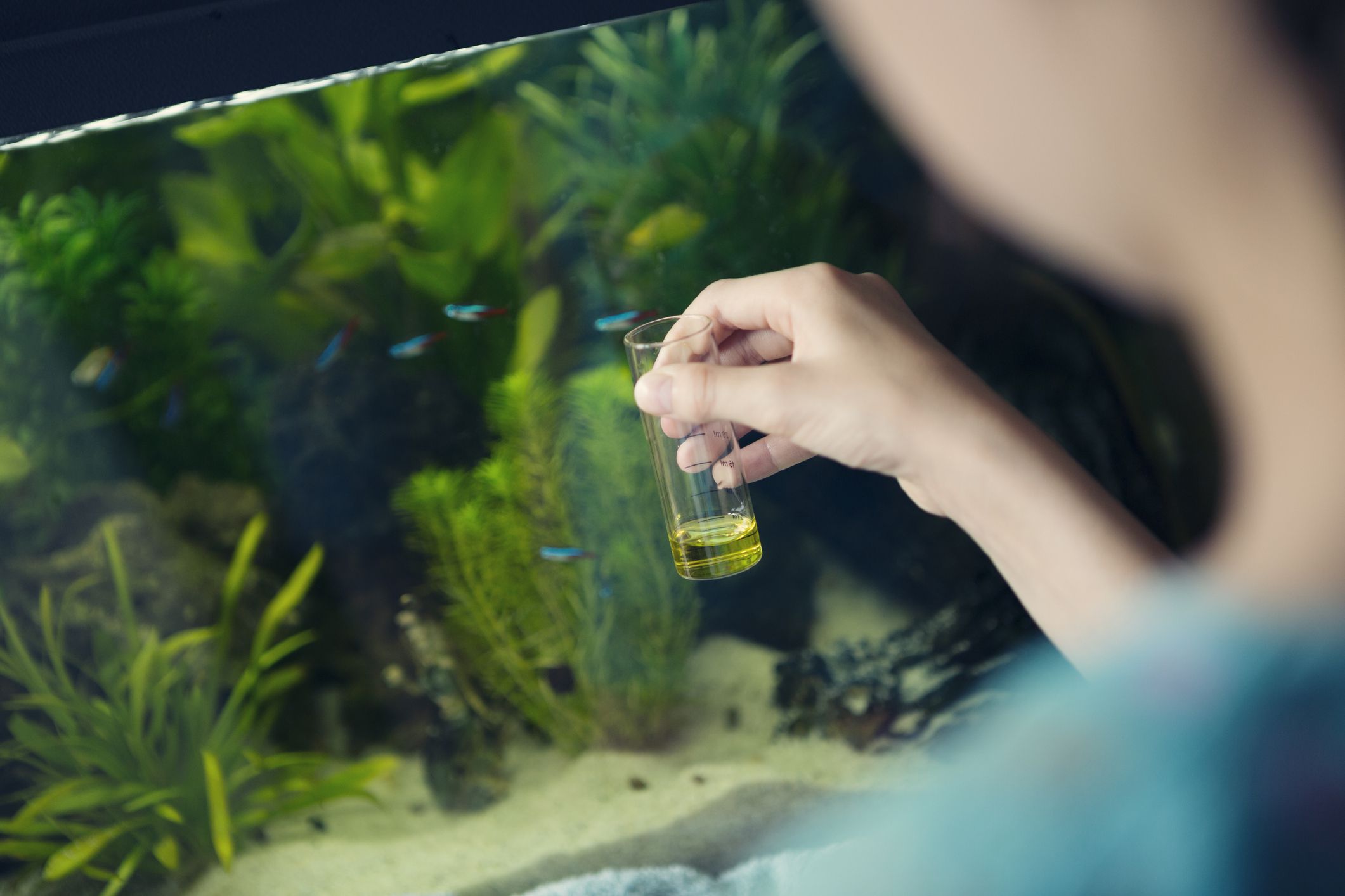 Aquarium Water Quality Testing & Balancing Service