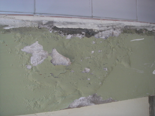 Damp proof painting