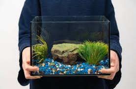 Safe Aquarium Relocation Service