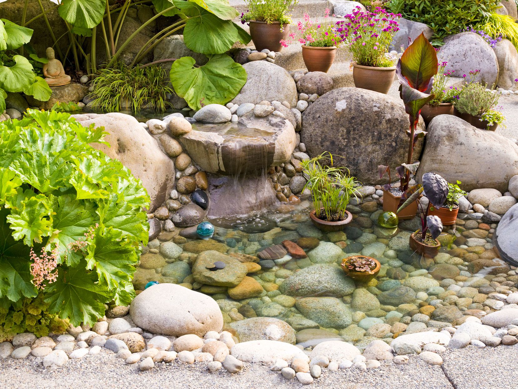 Water Feature & Pathway Planning Service