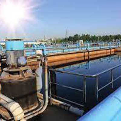 Large Plant Servicing & Inspection Service